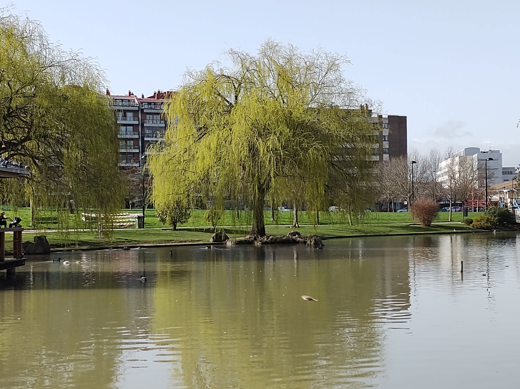 No s'ha  trobat l'arxiu